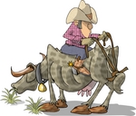 Texan Cowboy Man Seated Backwards on a Steer, The Reins Tied to the Tail Clipart